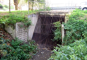 obrázek1
