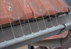 obrázek2
